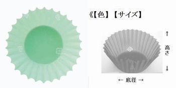 フィルムケース PET サイズとカラー